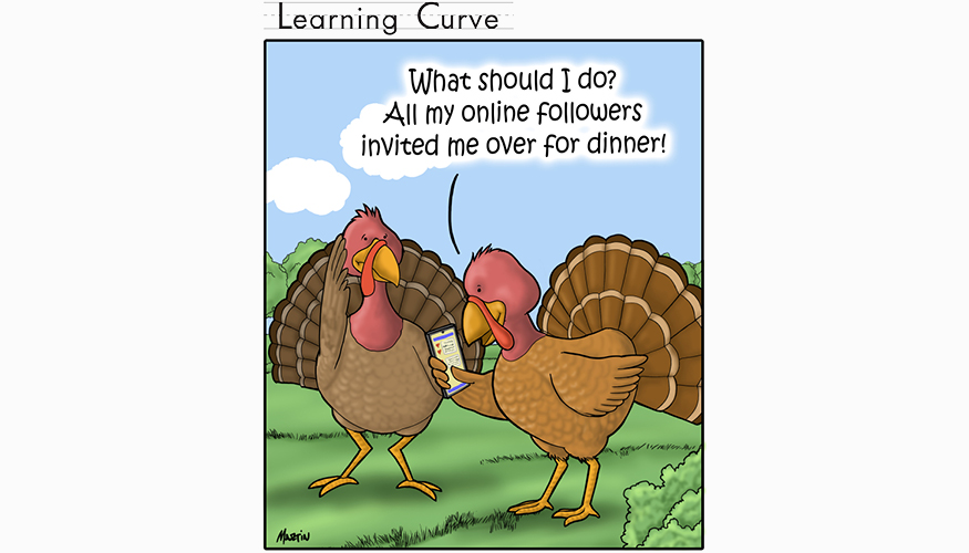 Learning Curve: Thanksgiving Dinner